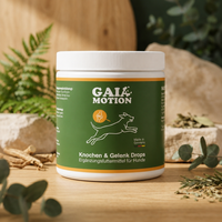 GAIA Motion