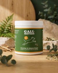 GAIA Motion