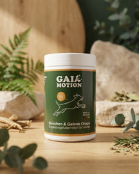 GAIA Motion